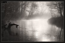 Morning on the river / ***