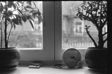 window of the kitchen / ***