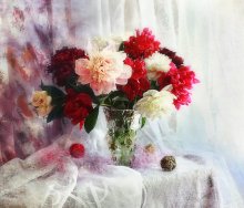 still life with peonies / ***