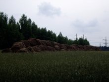 Natural beauty / ***