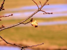 Loneliness / ***