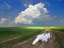 Cloud and puddle on the field road / ***