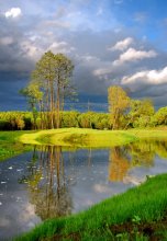 Island / ..............