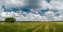 Panorama of the road in a big city ... / ***
