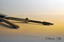 Compasses / ***