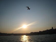 Evening at Sea / ***