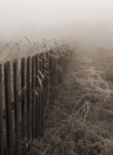Disappearing in the mist / .......