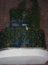 Flower tired ... / .....