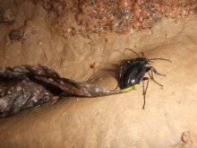 and no need for me to peep-)) / ......