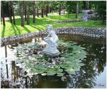 Count the pond, where the lilies bloom. / ***