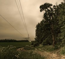 Landscape with wires / *****