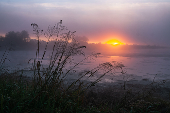 Morning / ***