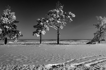 At the road / ***