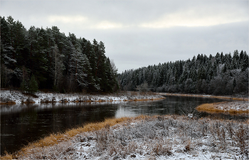 Pre-winter / ***