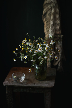With daisies ... / ***