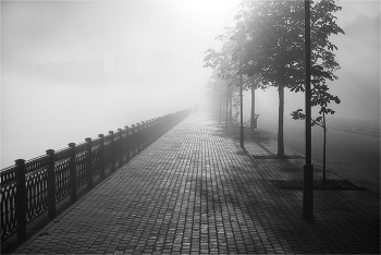 Quay fog / ***
