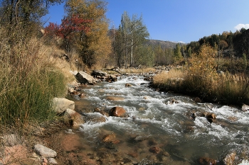 in early October / ***