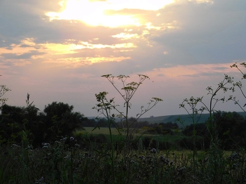 Evening light / ***