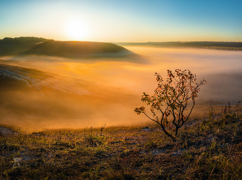 Misty / ***