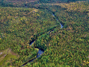 Taiga river / ***