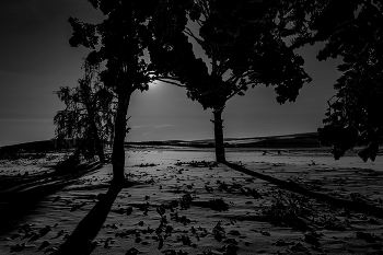 Under the Moon / ***