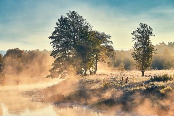 Autumn light / ***