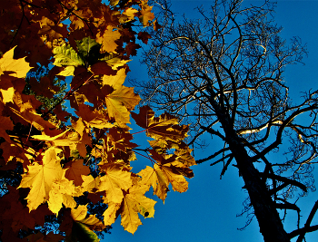 All in good time / ***