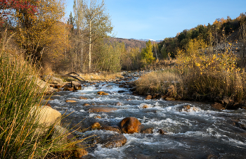 Autumn ... / ***