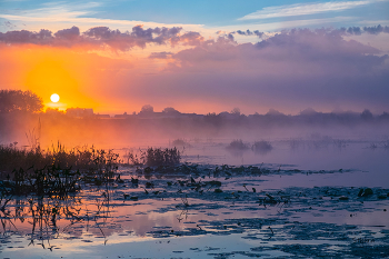 Dawn on the lake. / ***