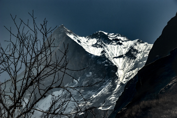 Machapuchare / ***