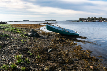Low tide / ***