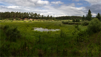 Water meadow / ***