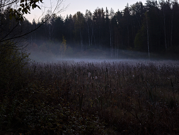Early morning. / ***