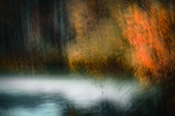 Autumn Pond / ***