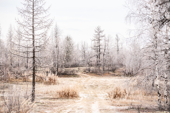 Breath of winter / ***
