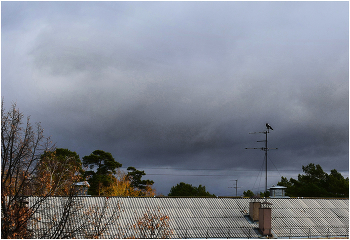 Over the roofs / ***
