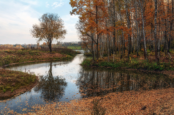 Leaf fall / ***