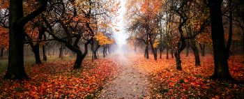 about autumn / ***