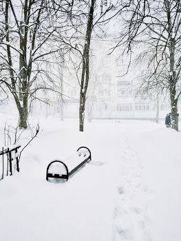 Snowstorm / ***