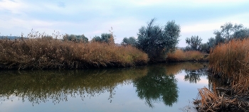 Water / ***