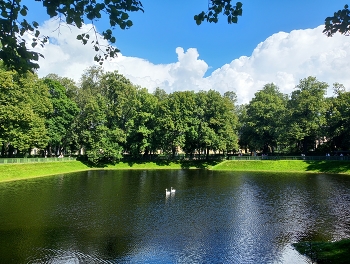 Pond / ***