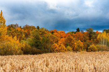 Autumn landscape. / ***