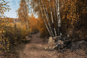 The road to autumn / ***
