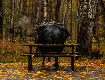 Autumn sittings / ***