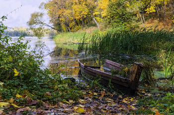 Autumn sadness / ***