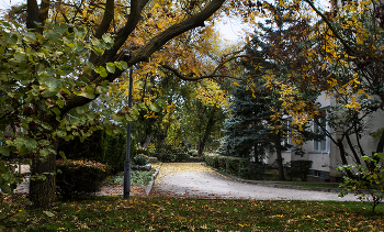 Autumn in the city / ***