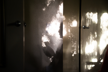 Shadow / ....