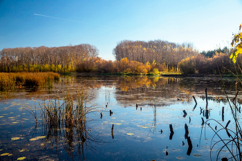 Autumn picture / ***