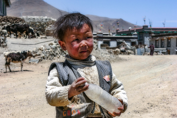 &nbsp; / [url=https://pic.maxiol.com/?v=1760631358.3105915962.img3623mv1000v.jpg&amp;dp=2][img]https://pic.maxiol.com/thumbs2/1760631358.3105915962.img3623mv1000v.jpg[/img][/url]