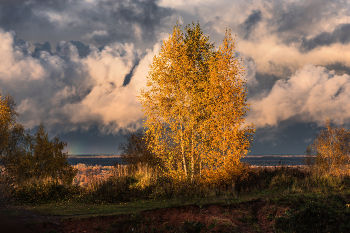 Fragments of autumn / ***